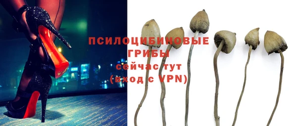 MDMA Premium VHQ Нефтегорск