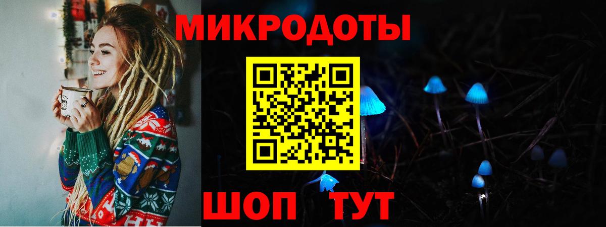 Галлюциногенные грибы Cubensis  Вход с VPN  Нарткала 